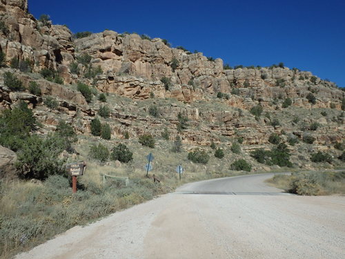 GDMBR: Leaving Cibola National Forest, NF-49 becomes Zuni Canyon Road and leads directly to Grants, NM.